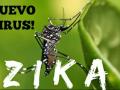 La COI se mobilise face au virus Zika La COI se mobilise face au virus Zika