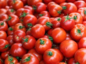 Agriculture Bio Agriculture Bio