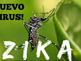 Zika Zika