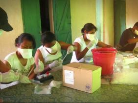 Veille sanitaire Veille sanitaire